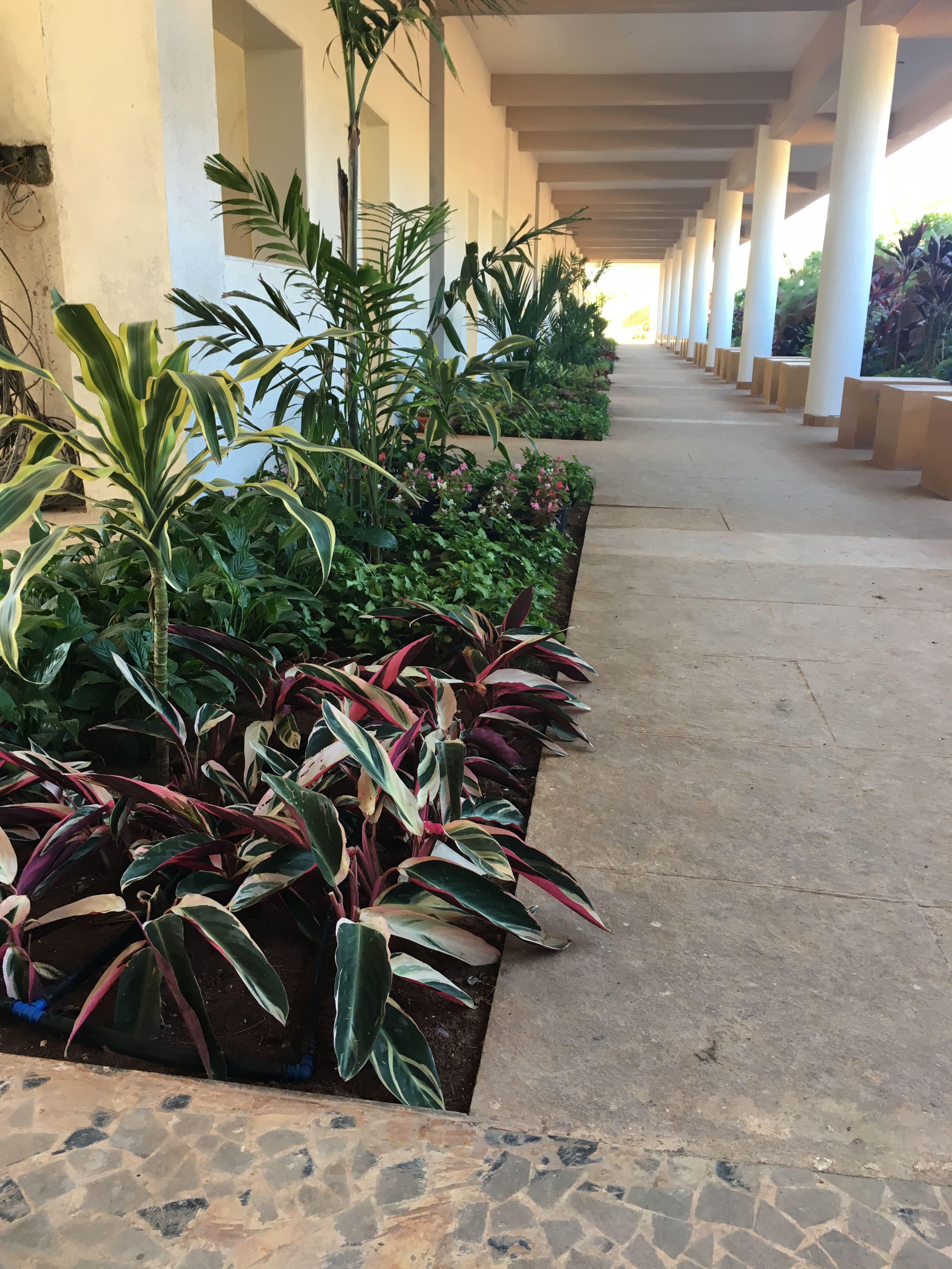 best nursery in nashik