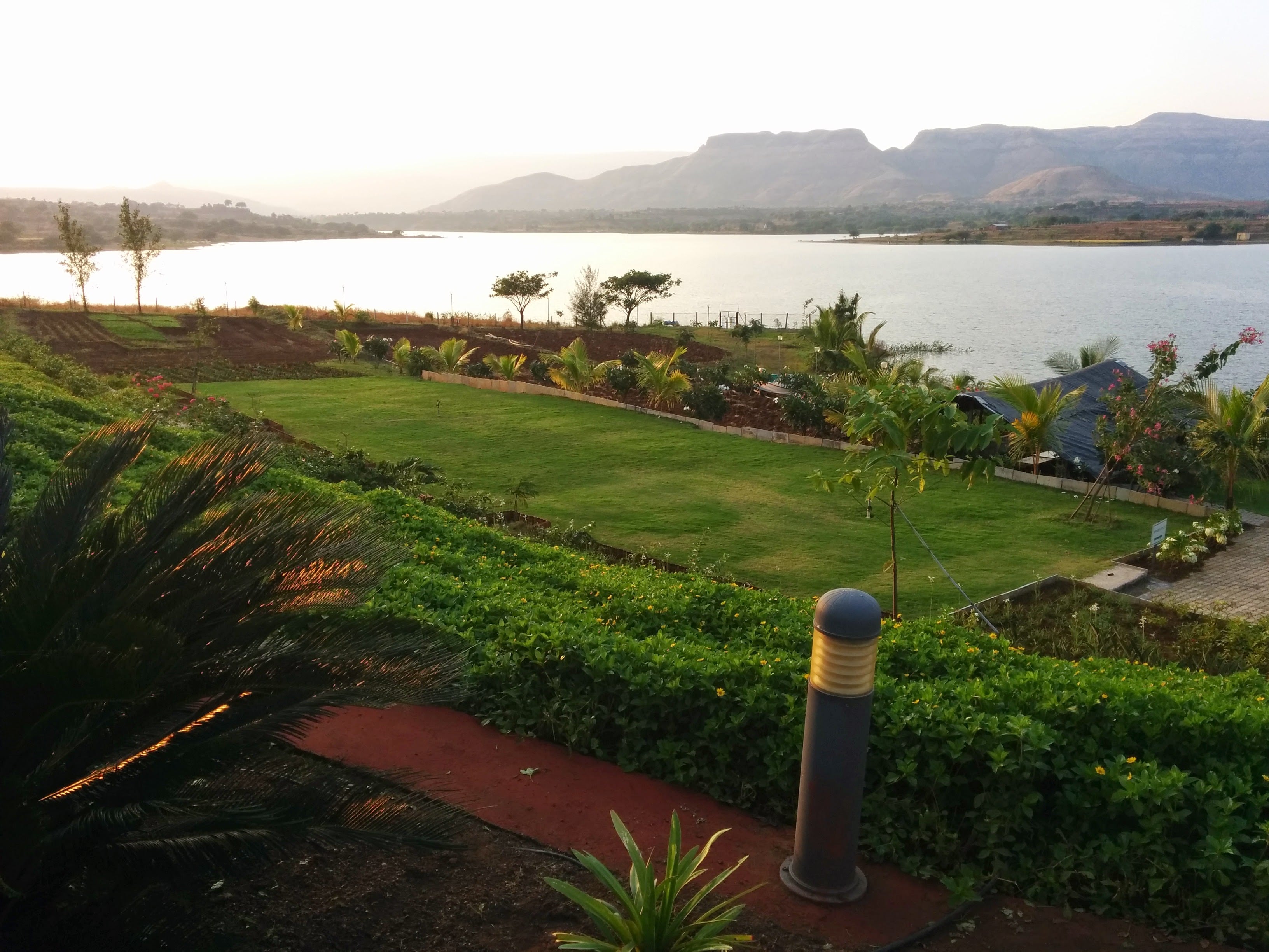 best nursery in nashik