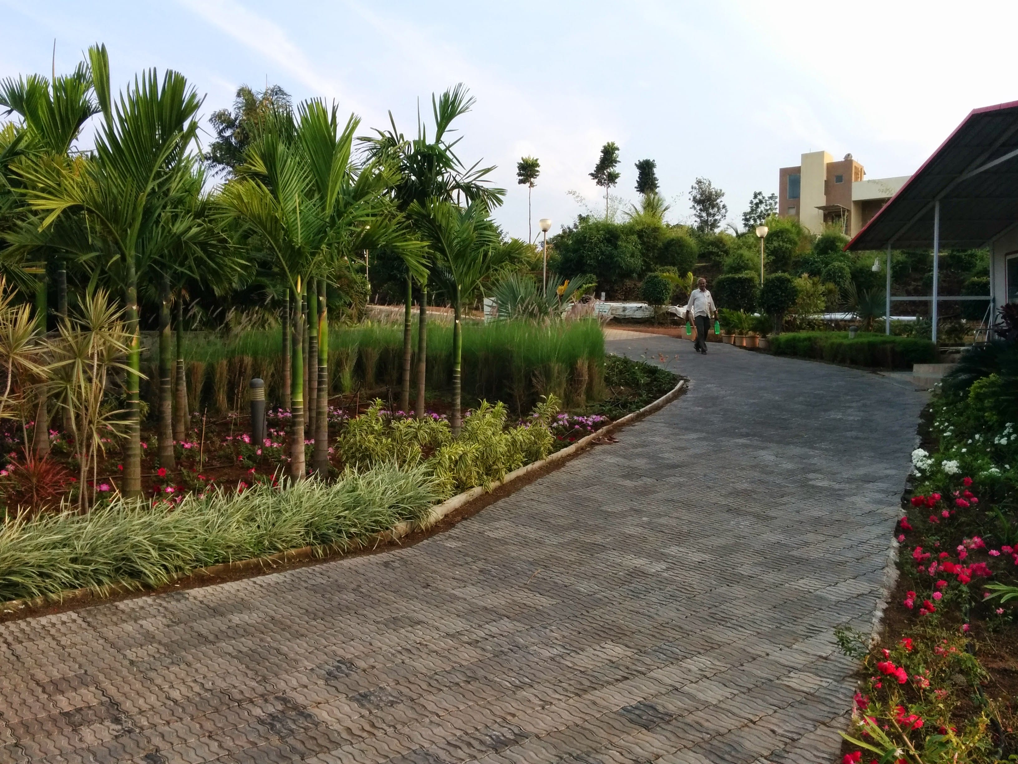 best nursery in nashik