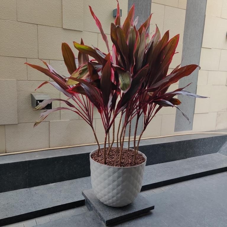 best nursery in nashik