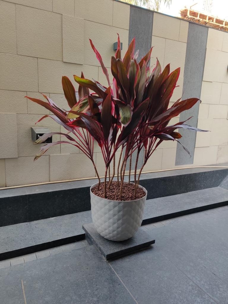 best nursery in nashik