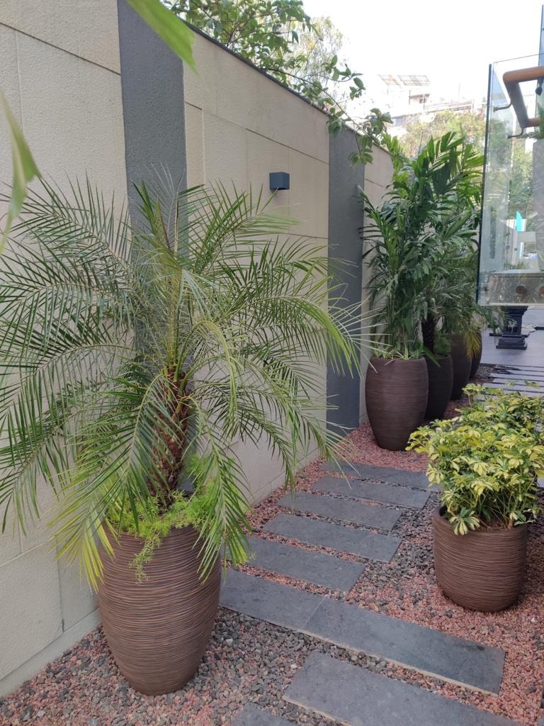 best nursery in nashik