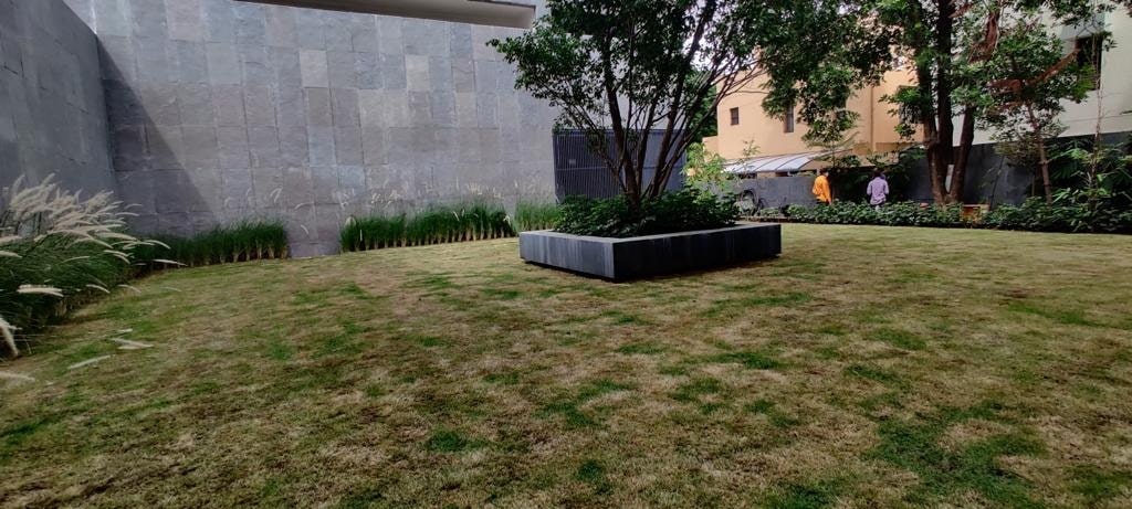 best nursery in nashik