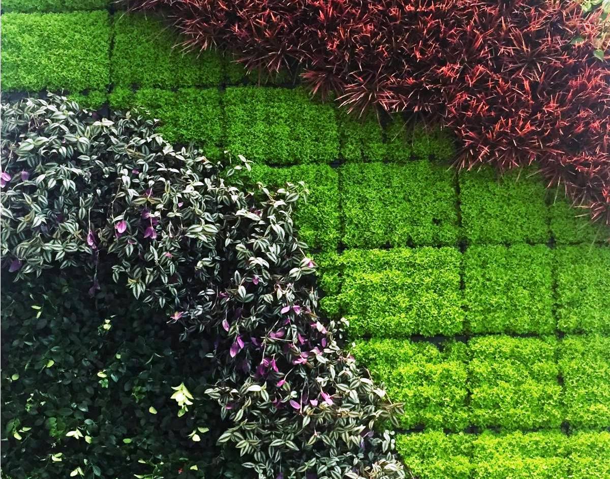 best nursery in nashik