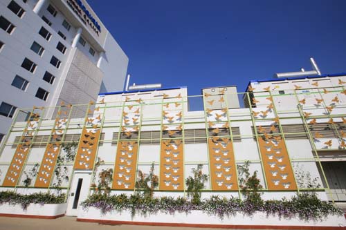 best nursery in nashik