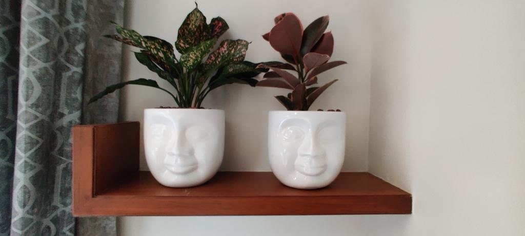 best nursery in nashik