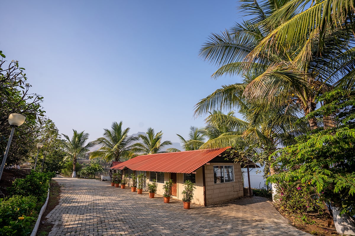 best nursery in nashik