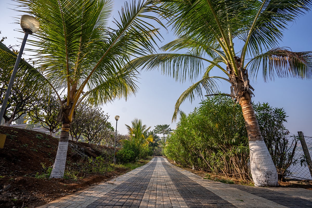 best nursery in nashik