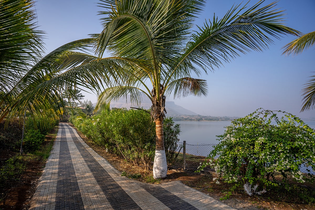 best nursery in nashik