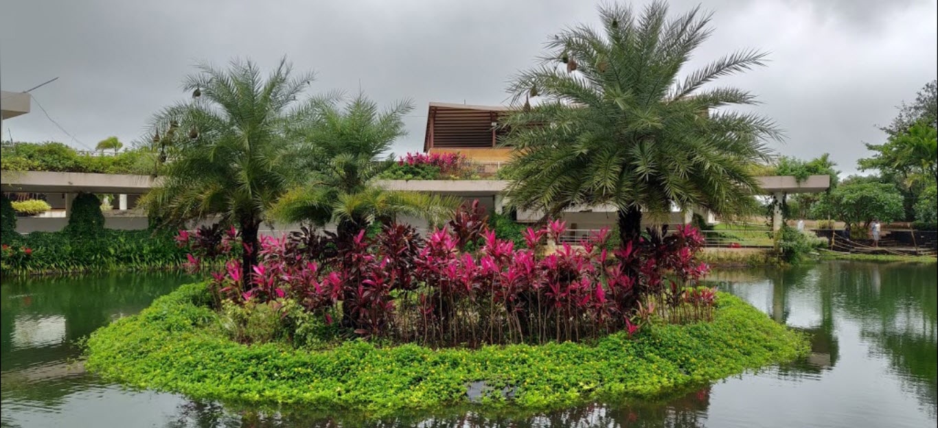 best nursery in nashik